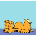 garfield.png